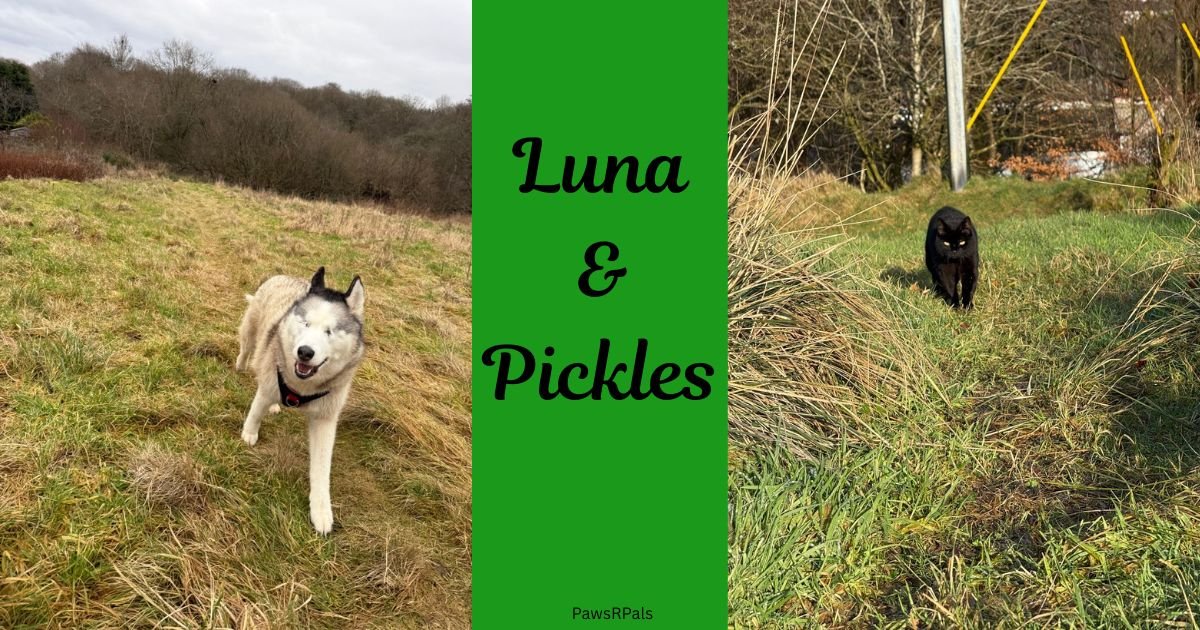 Luna and Pickles